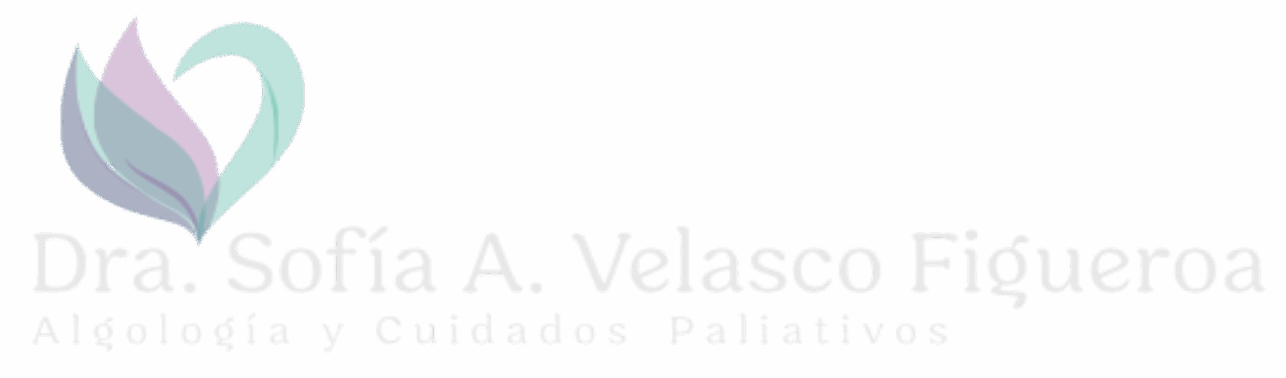 Dra. Sofía Velasco Figueroa